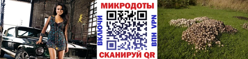 где найти наркотики  Лихославль  Галлюциногенные грибы Magic Shrooms 